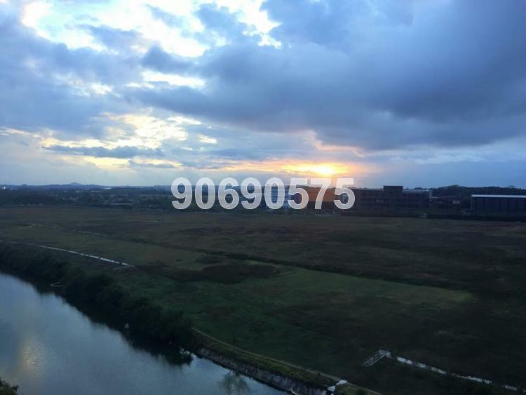 Rio Vista thumbnail photo